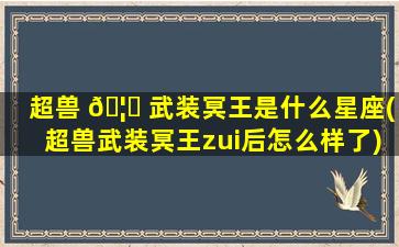 超兽 🦄 武装冥王是什么星座(超兽武装冥王zui
后怎么样了)